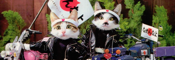 Detail of the cover of 'Nammenayo Cats' (Tsuda 1981)