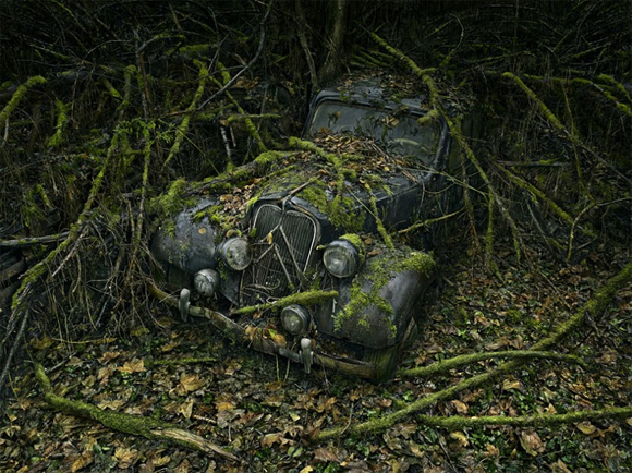 An old car overtaken by nature. Photography by Peter Lippmann