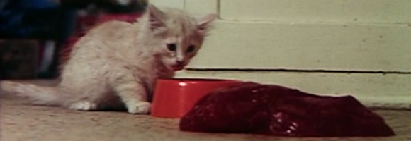 Samuel the kitten encounters the Blob (Hagman 1972)